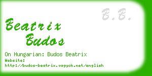 beatrix budos business card